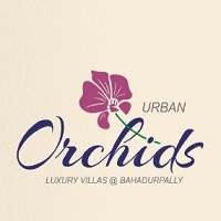 Urban Orchids