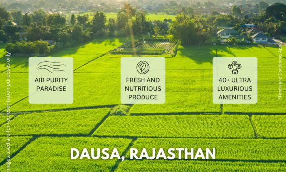 922 Emblica Estate, Dausa - Spacious Farm Land