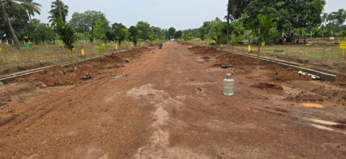 Seshadri Nagar, Rajahmundry - Residential Plots