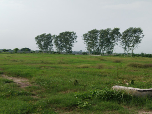 Da Foreste, Palwal - Residential Plots