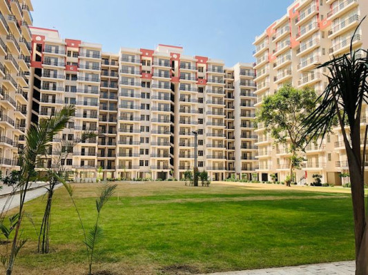 Lotus Homz, Gurgaon - 1/2 BHK Apartment