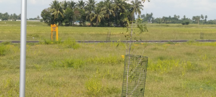 Rambalaji Avenue, Kanchipuram - Residential Plots