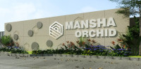 Mansha Orchid