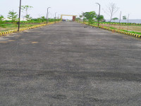 Yamuna Green