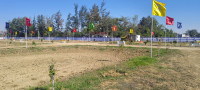 Ongoing Projects