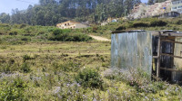Kodai Green Space