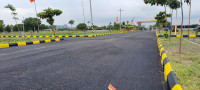 Fortune Highway