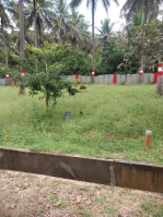 Gss Herbal Coco Enclave