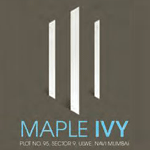 Maple IVY
