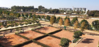 Classic Bulwark Village