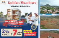 Golden Meadows