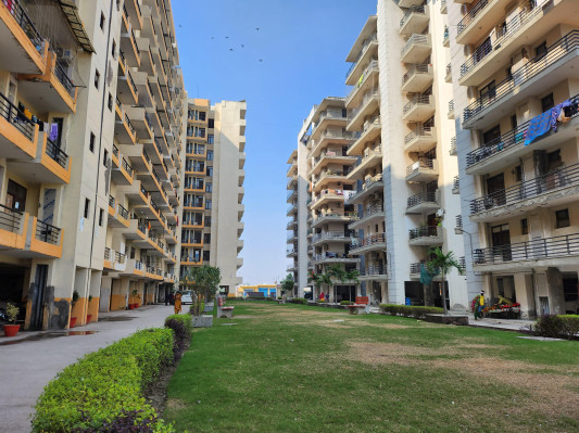 Blossom Greens, Faridabad - 2/3 BHK Apartment