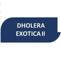 Dholera Exotica 2