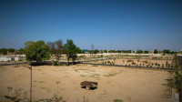 Leoz Green City