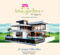 Lotus Garden