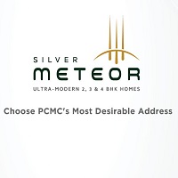 Silver Meteor
