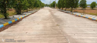 Nandi Avenue