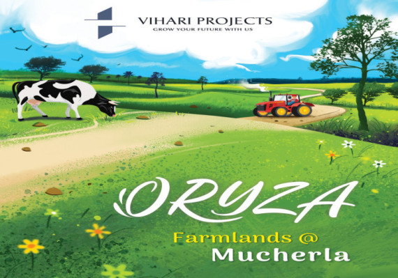 Oryza Farmlands, Hyderabad - Farm House / Plot