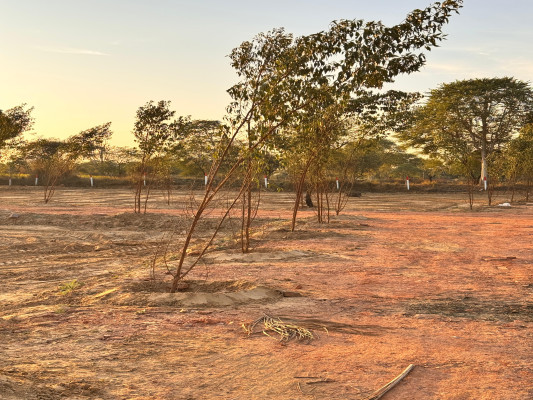 Green City, Jaipur - Residential Plots