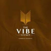 The Vibe