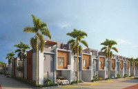 Palm Grove