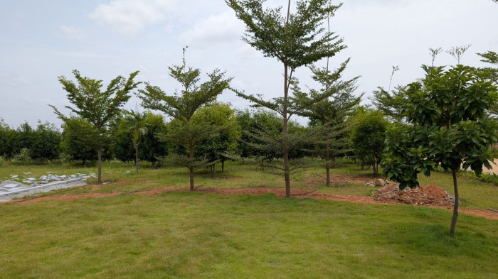 Sandal Valley, ChikBallapur - Farm Land