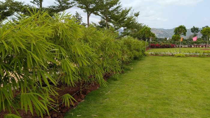 Sandal Valley, ChikBallapur - Farm Land