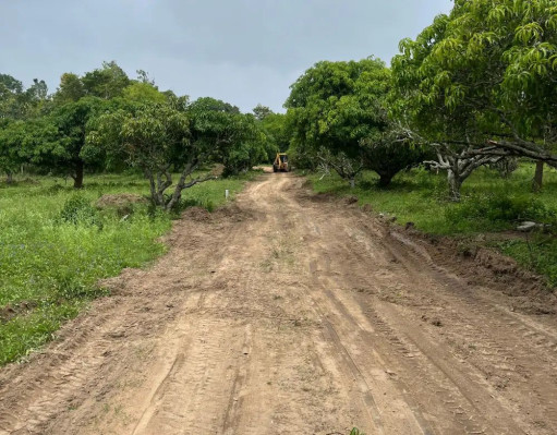 Gokulam Farmland, Krishnagiri - Agriculture Farm Land
