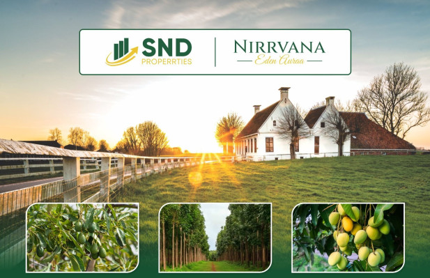 Nirrvana Farm Land, Dharwad - Organic Avocado Farm Land