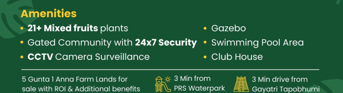 Nirrvana Farm Land, Dharwad - Organic Avocado Farm Land