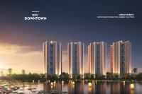 DTC Downtown