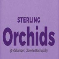 Sterling Orchids