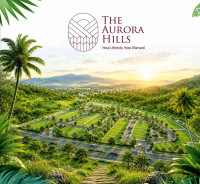 The Aurora Hills