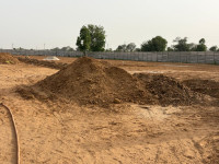 Soham Farms