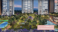 Silverglades Legacy Primo