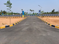 Regal Residency