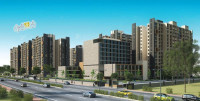 Apollo DB City