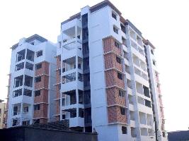 Ongoing Projects
