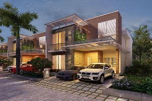 Ongoing Projects