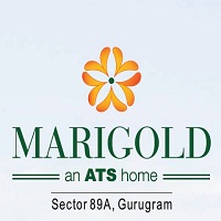 ATS Marigold
