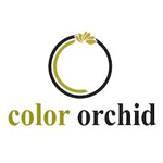 Color Orchid