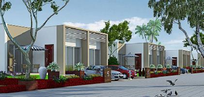 Ongoing Projects