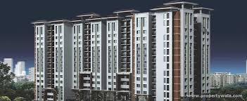 Ongoing Projects