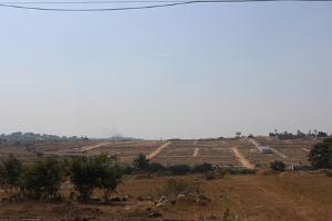 Ongoing Projects