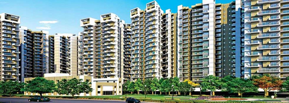 Amrapali Centurian Park Terrace Homes, Noida - Residential Apartments