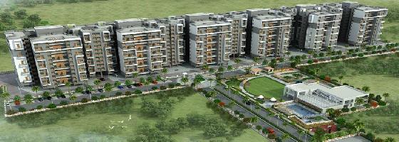 Ongoing Projects