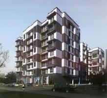 Ongoing Projects