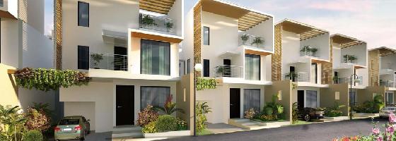 Ongoing Projects