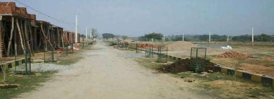 Ongoing Projects