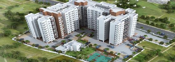 Ongoing Projects